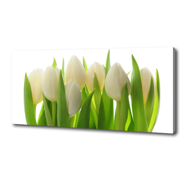 Foto obraz canvas Tulipany