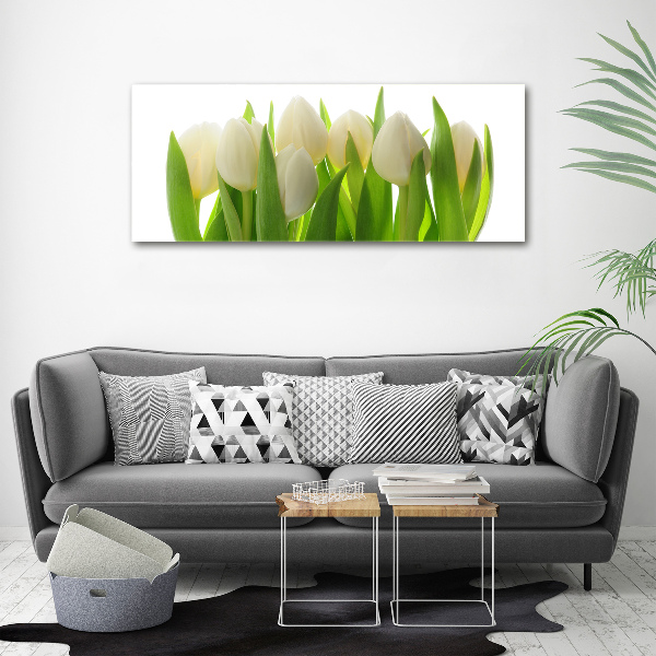 Foto obraz canvas Tulipany