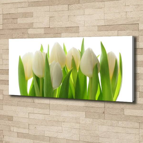 Foto obraz canvas Tulipany