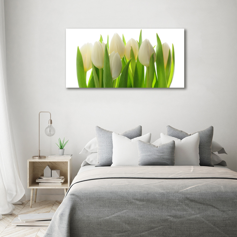 Foto obraz canvas Tulipany