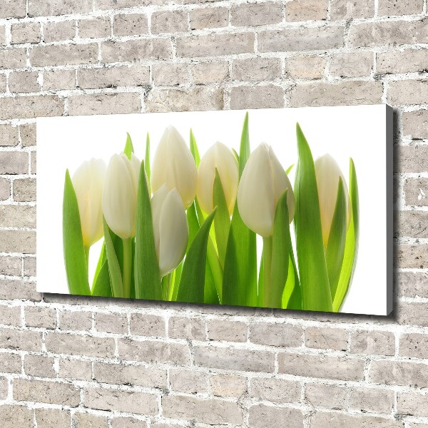 Foto obraz canvas Tulipany