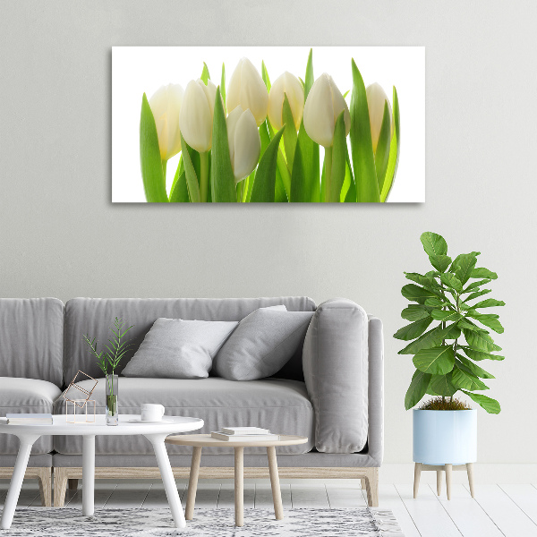 Foto obraz canvas Tulipany