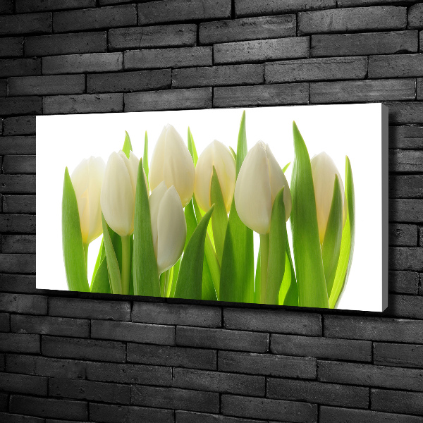 Foto obraz canvas Tulipany