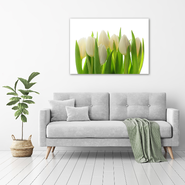 Foto obraz canvas Tulipany