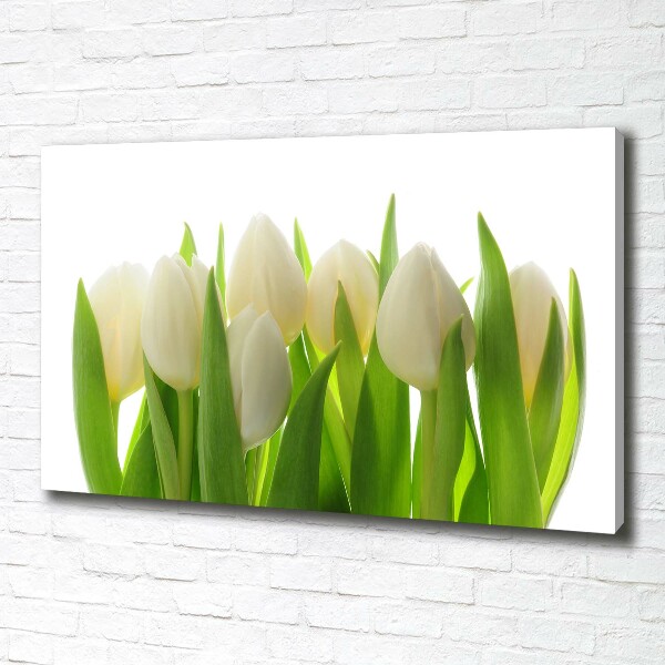 Foto obraz canvas Tulipany