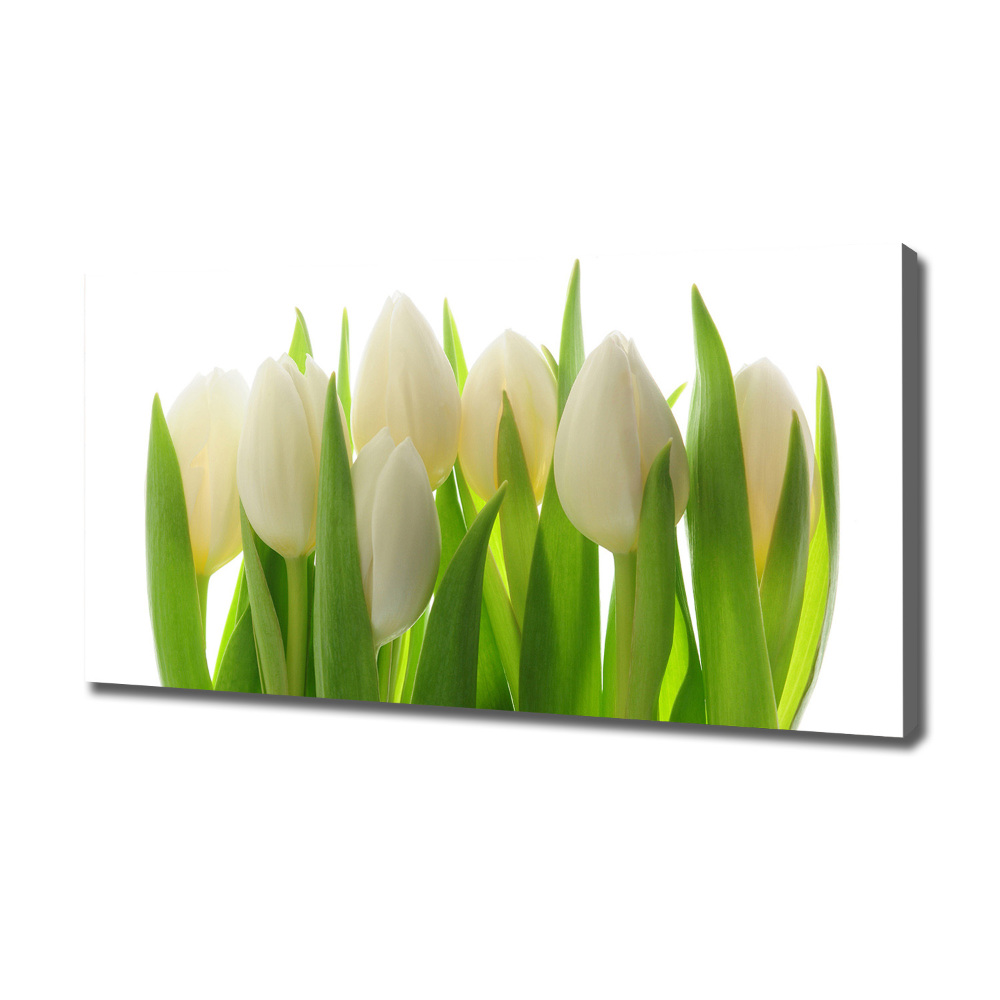 Foto obraz canvas Tulipany