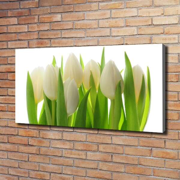 Foto obraz canvas Tulipany