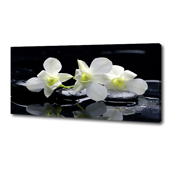 Foto obraz canvas Orchidea