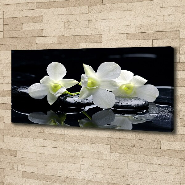 Foto obraz canvas Orchidea