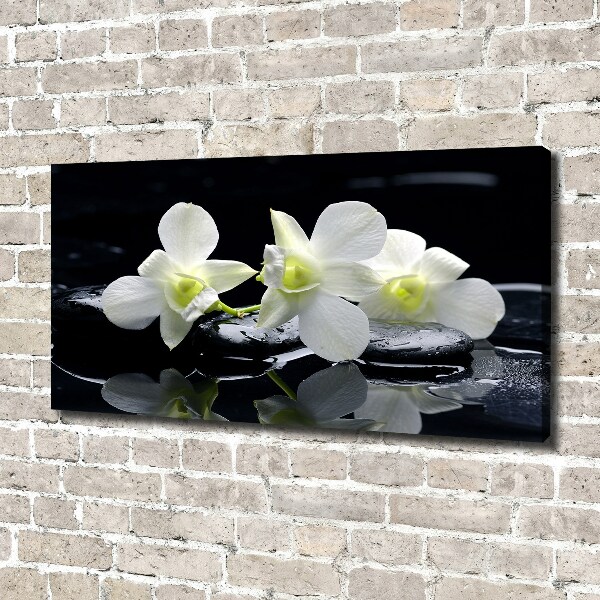 Foto obraz canvas Orchidea