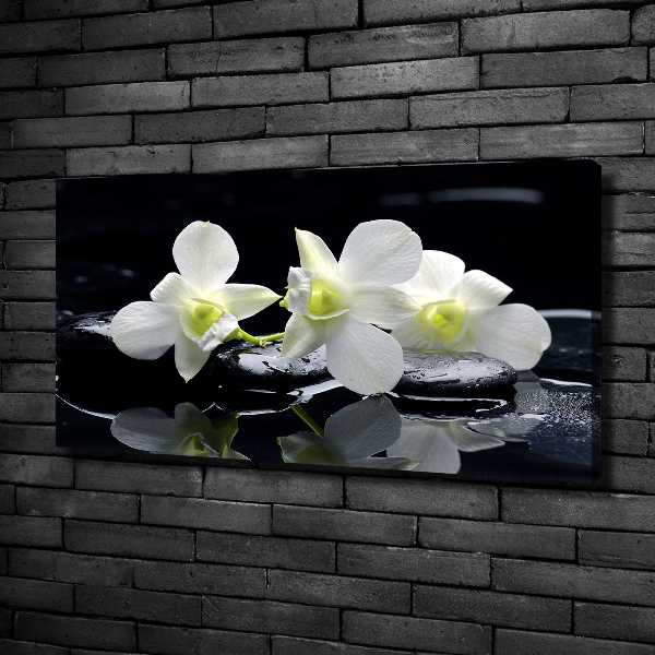 Foto obraz canvas Orchidea