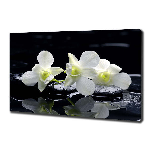 Foto obraz canvas Orchidea