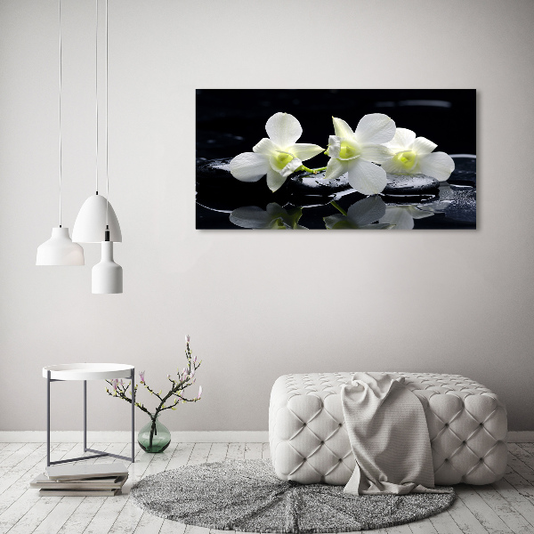 Foto obraz canvas Orchidea