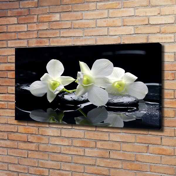 Foto obraz canvas Orchidea