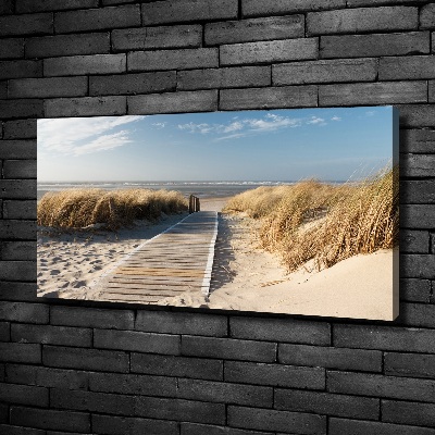Foto obraz na płótnie Ścieżka na plaży