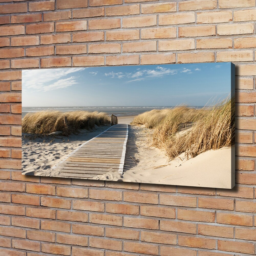 Foto obraz na płótnie Ścieżka na plaży