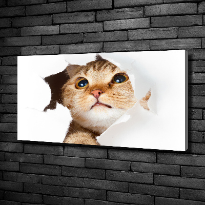 Foto obraz na płótnie Kot w dziurze