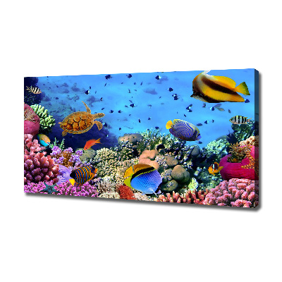 Foto obraz na płótnie Rafa koralowa