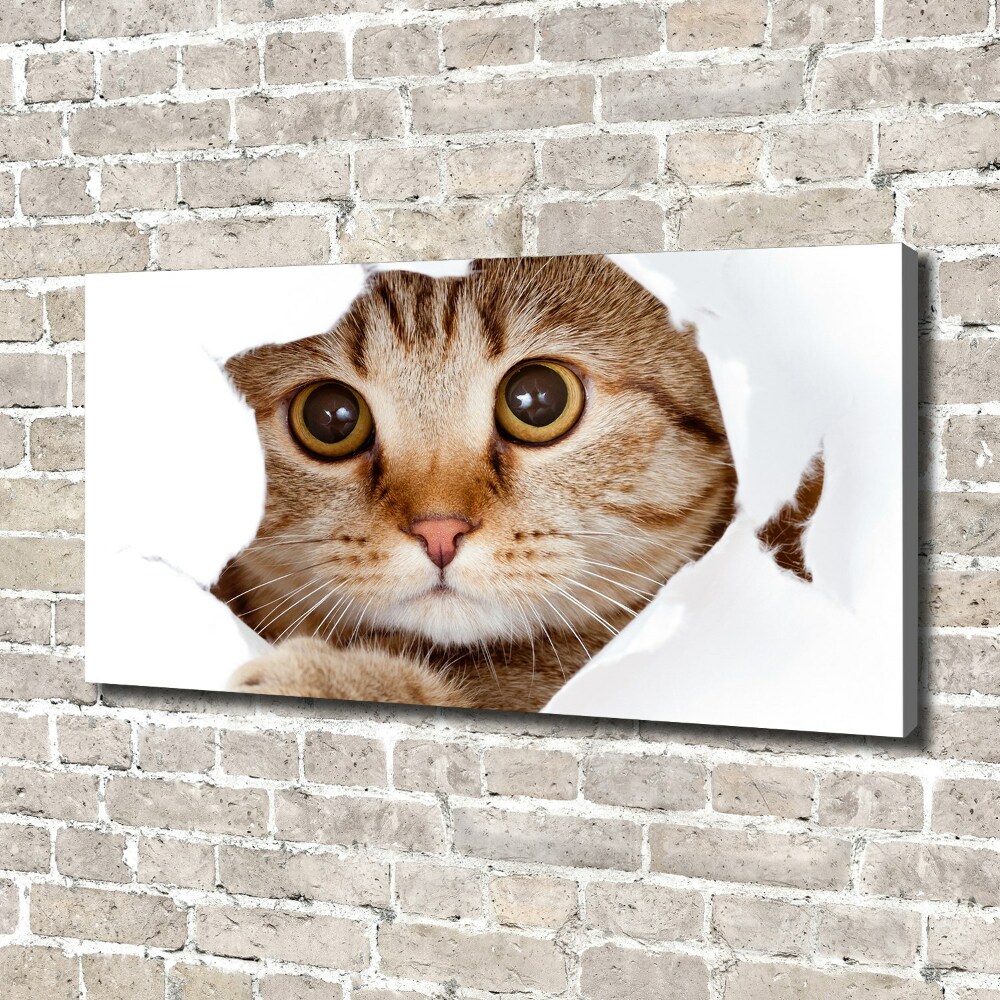 Nowoczesny obraz na płótnie zdjęcie Kot