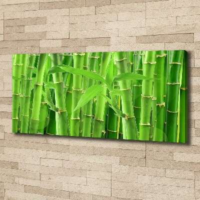 Foto obraz canvas Bambusy