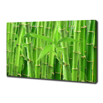 Foto obraz canvas Bambusy