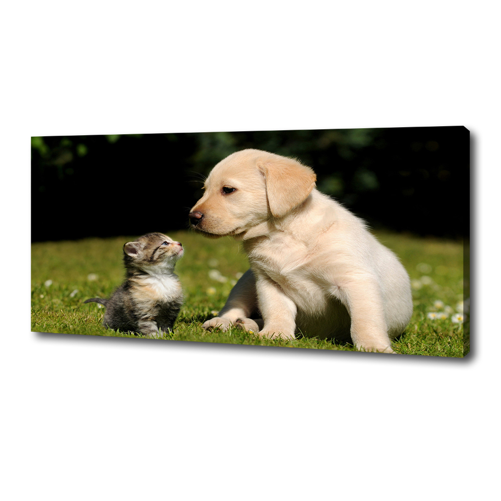 Foto obraz na płótnie Pies i kot na łące