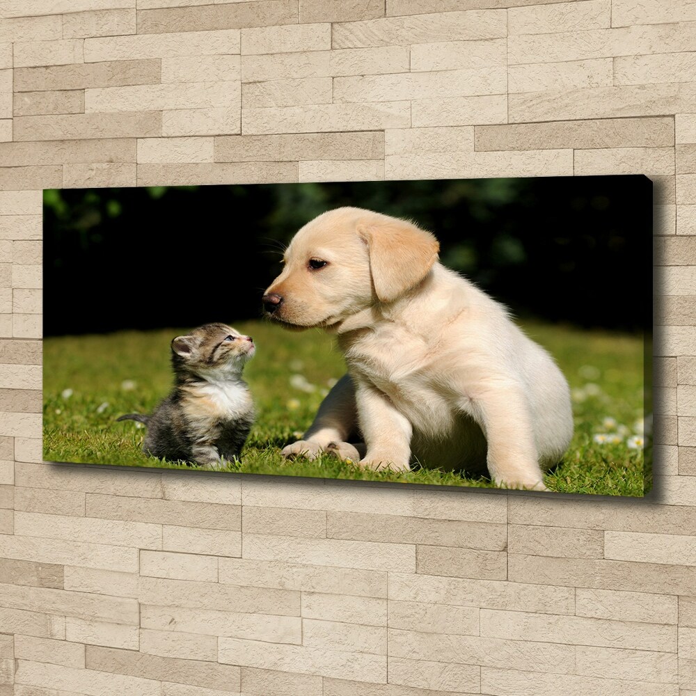 Foto obraz na płótnie Pies i kot na łące