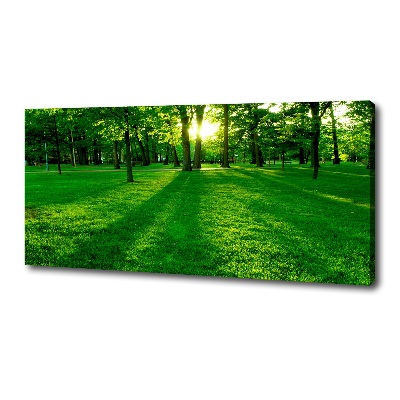 Foto obraz na płótnie Trawa w parku