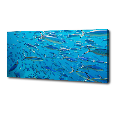 Foto obraz na płótnie Koralowe ryby
