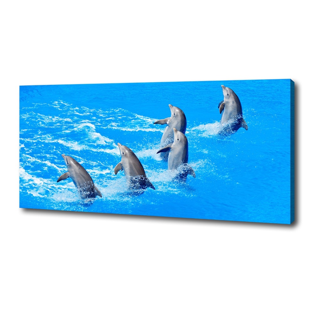 Foto obraz canvas Delfiny