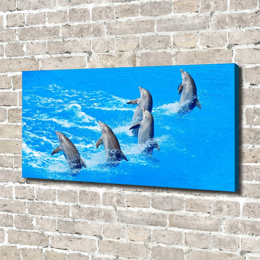 Foto obraz canvas Delfiny