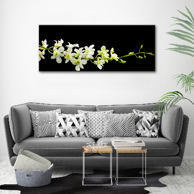 Foto obraz canvas Orchidea