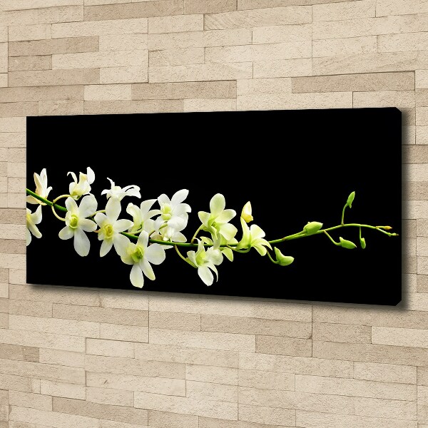 Foto obraz canvas Orchidea