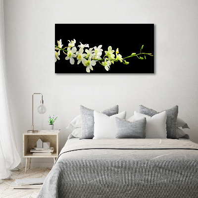 Foto obraz canvas Orchidea