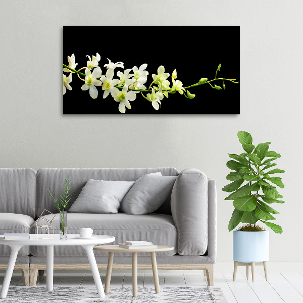 Foto obraz canvas Orchidea