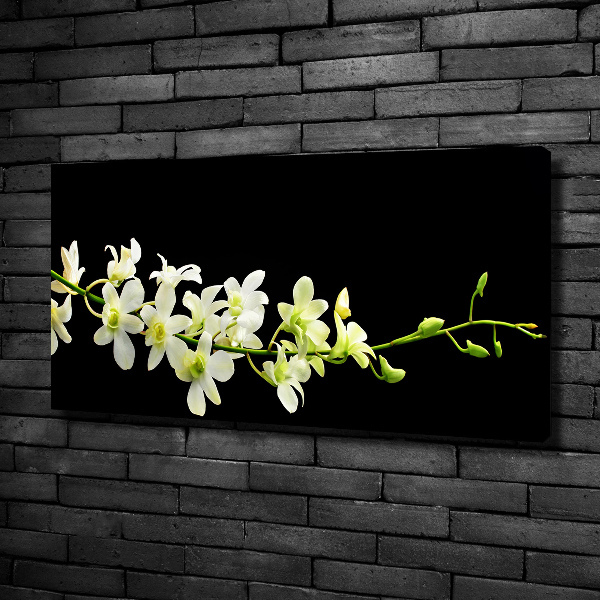 Foto obraz canvas Orchidea