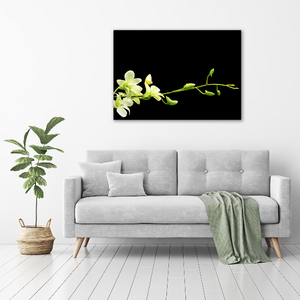 Foto obraz canvas Orchidea