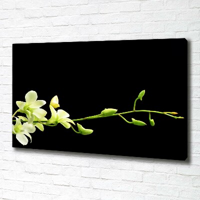 Foto obraz canvas Orchidea