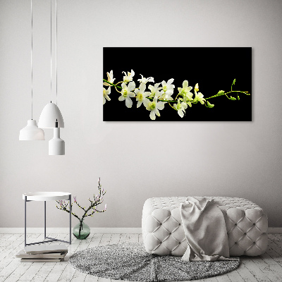 Foto obraz canvas Orchidea