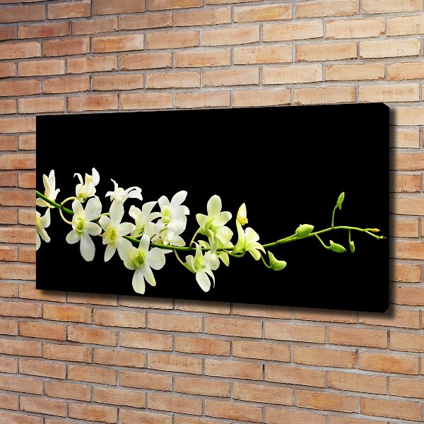 Foto obraz canvas Orchidea