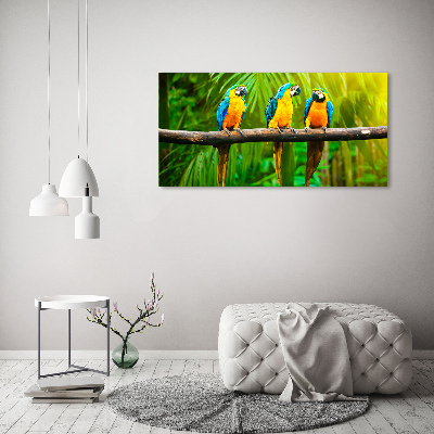 Foto obraz na płótnie Papugi na gałęzi
