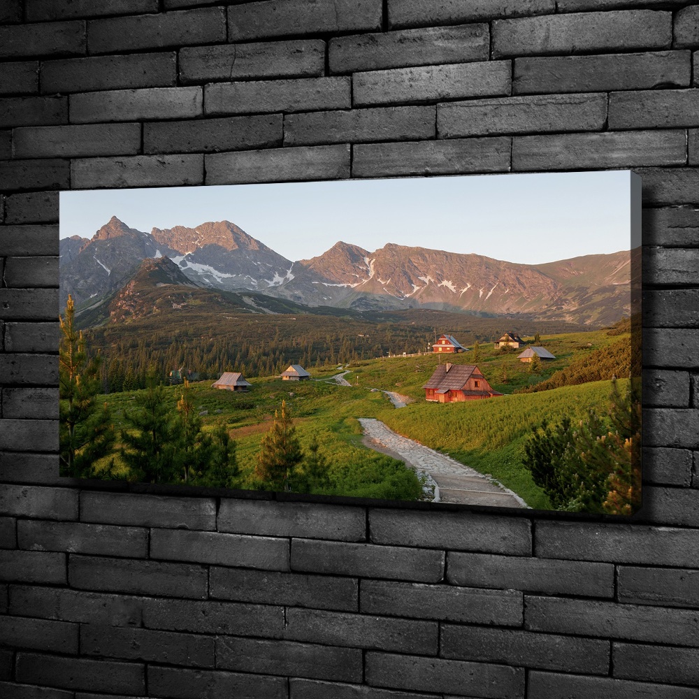 Foto obraz na płótnie Polana w Tatrach
