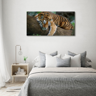 Foto obraz na płótnie Tygrys na drzewie