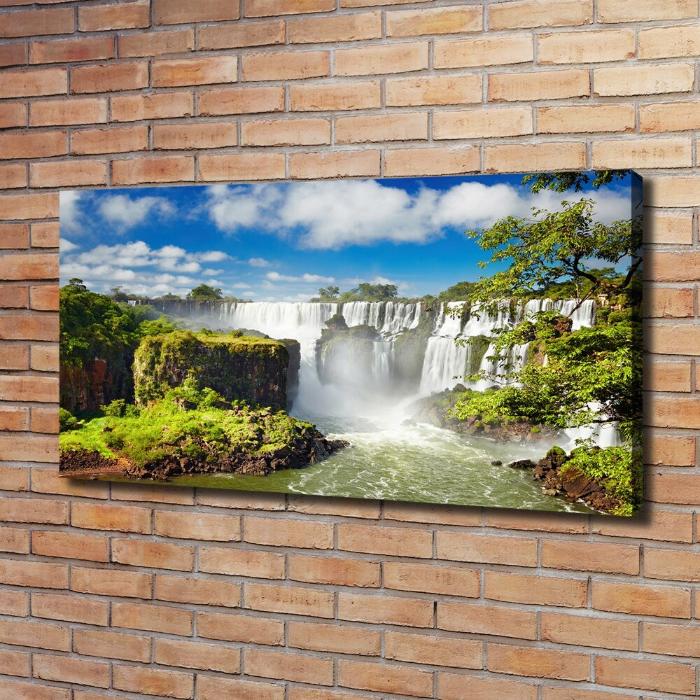 Foto obraz na płótnie Wodospad Argentyna