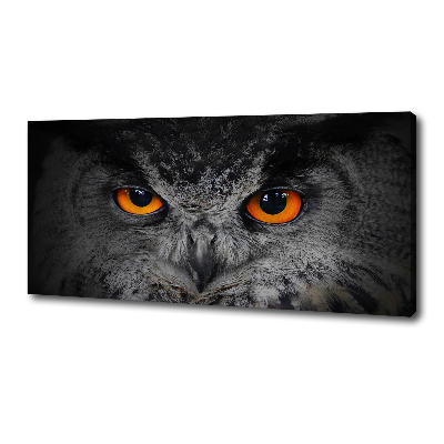 Foto obraz canvas Diabelskie oczy sowy