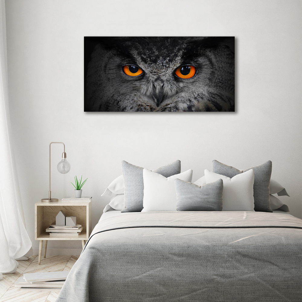 Foto obraz canvas Diabelskie oczy sowy