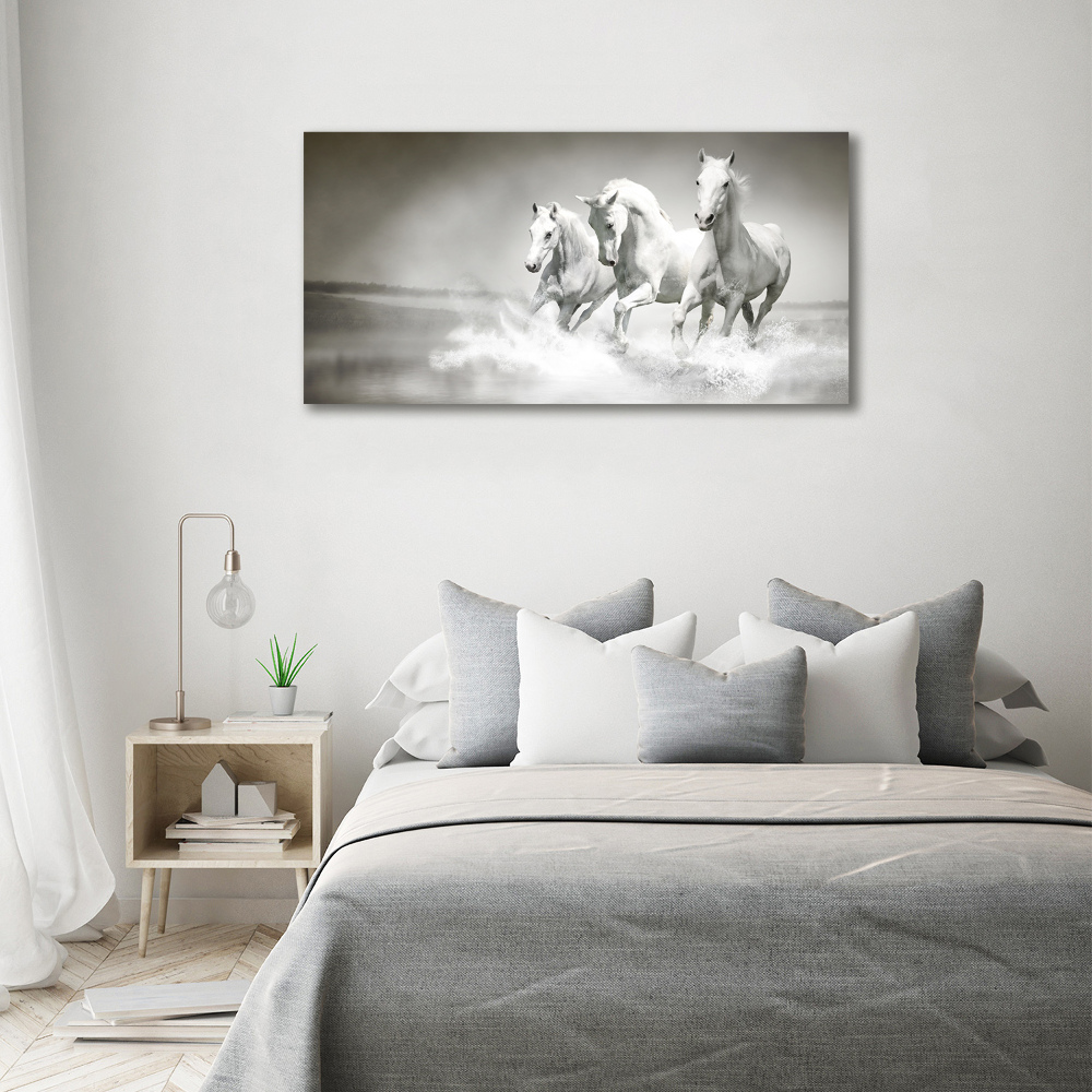 Foto obraz canvas Białe konie