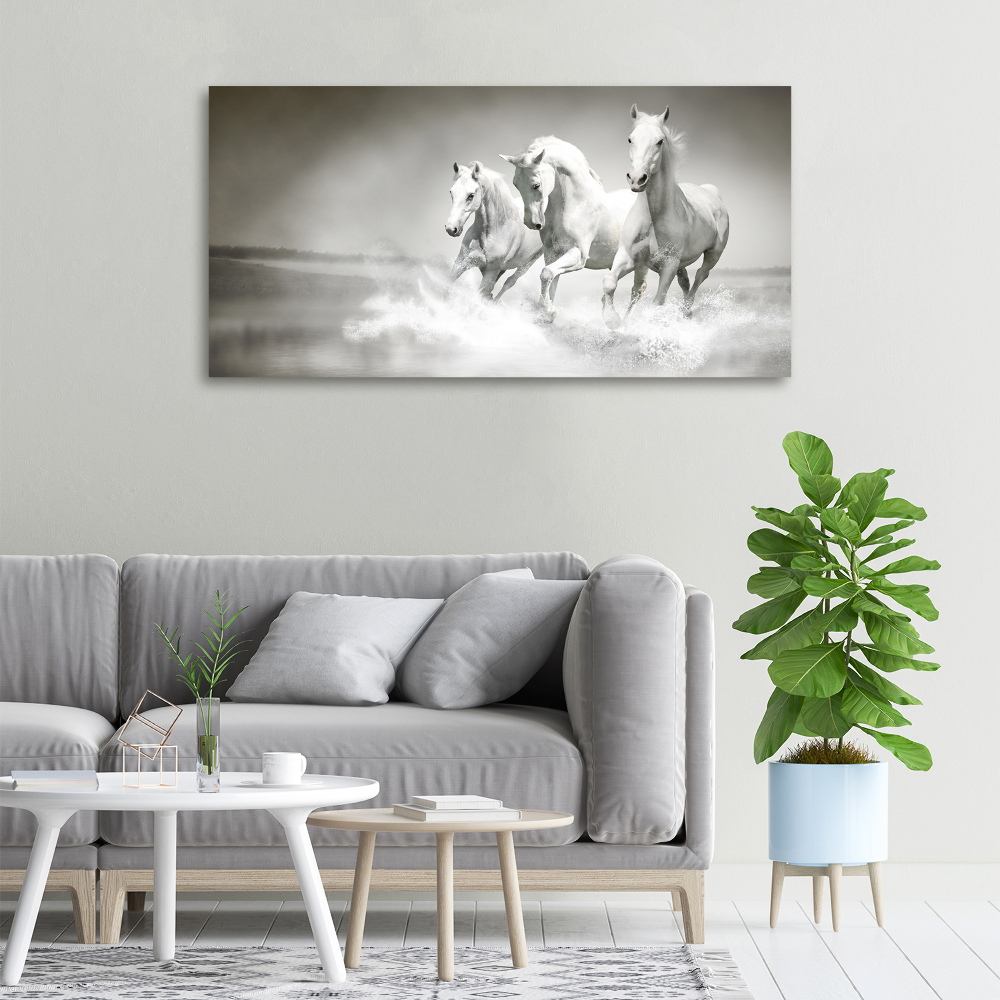 Foto obraz canvas Białe konie