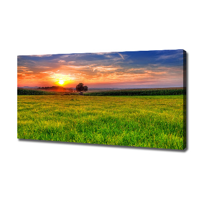 Foto obraz na płótnie Zachód słońca łąka