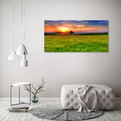 Foto obraz na płótnie Zachód słońca łąka